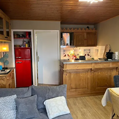 Duplex 2alpes Centre דירה