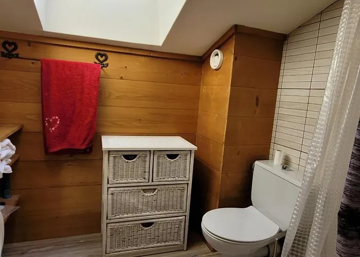 Apartament Duplex 2alpes Centre *