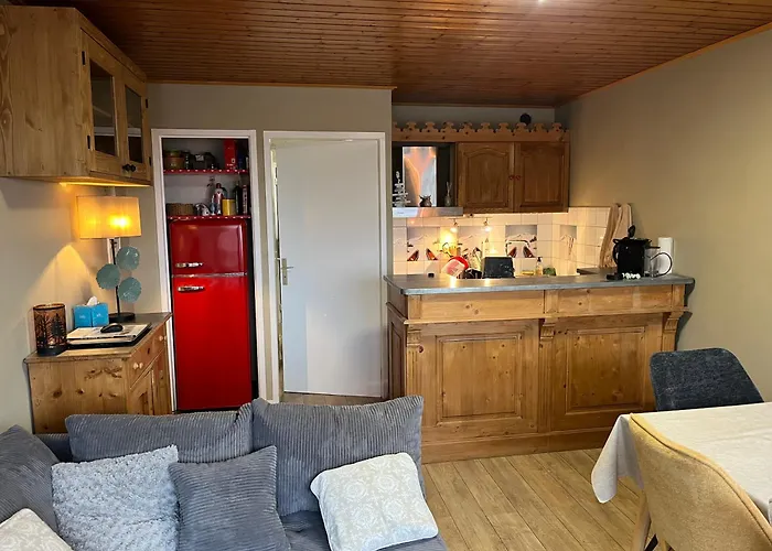 Duplex 2alpes Centre Apartament